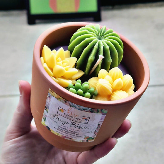 Succulent Candles