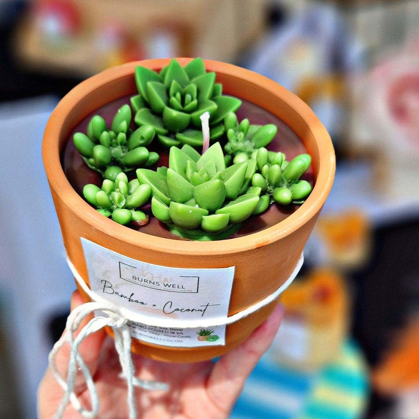 Succulent Candles